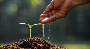 Monsoon Watch: Green shoots of economy await growth spurt