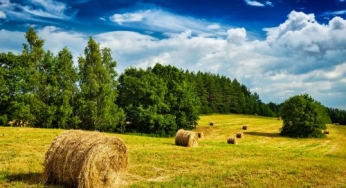 A tech-led reimagining of Indian agriculture
