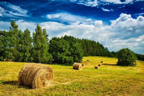 A TECH-LED REIMAGINING OF INDIAN AGRICULTURE