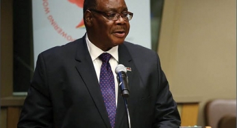 Malawi: Land of untapped investment opportunities for India