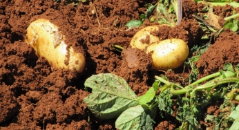 Mahindra bets on Swiss agritech start-up