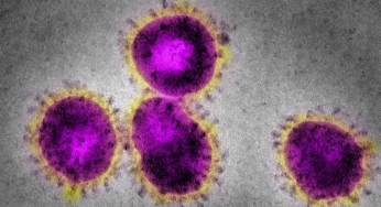 Coronavirus outbreak: India offers Global Inc. an alternative