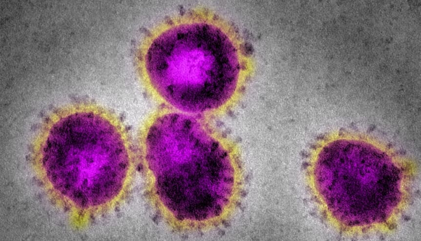 Coronavirus outbreak: India offers Global Inc. an alternative