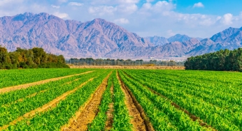 Massive room for growth in Indo-Israeli trade
