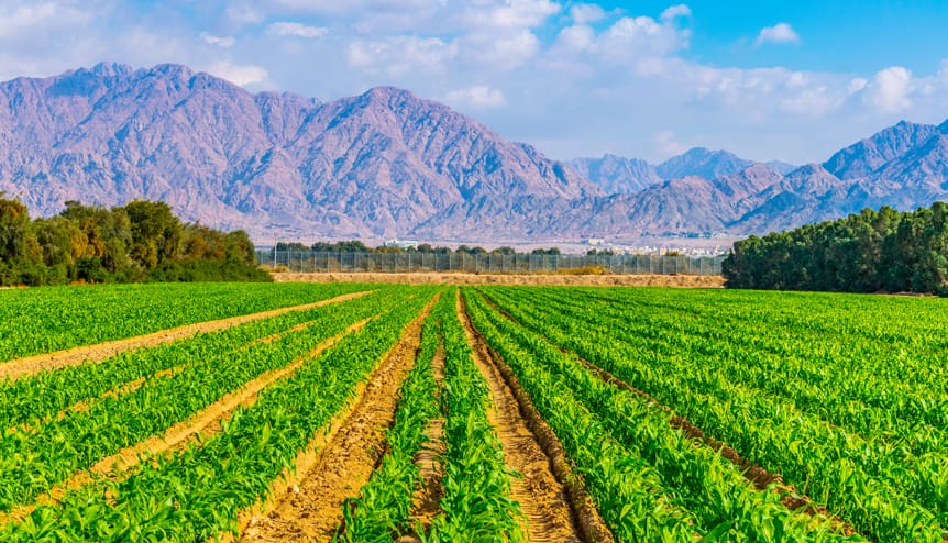 Massive room for growth in Indo-Israeli trade