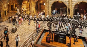 Prof. Yadvinder Malhi to drive Natural History Museum agenda