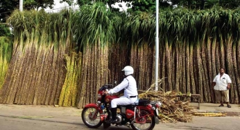 Indian sugar industry is posting sweet export numbers