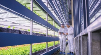 Switzerland’s Pioneering Ventures acquires Lateral Praxis