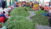 Green shoots of growth in India could prove doomsayers wrong on economic contraction