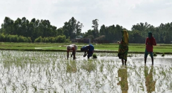 Covid-19 calls for renewed focus on sustainable solutions