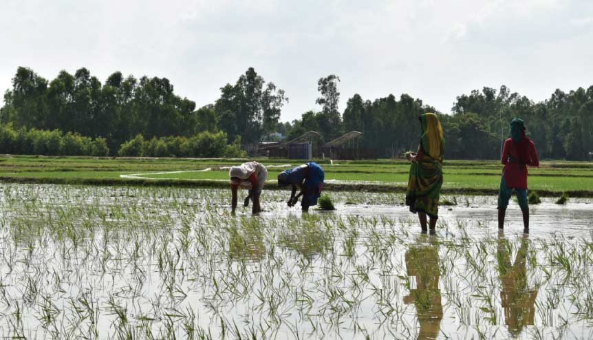Sustainable energy solutions can help India build resilience to climate and economic shocks