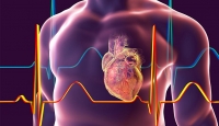 The protein that could reduce damage from a heart attack