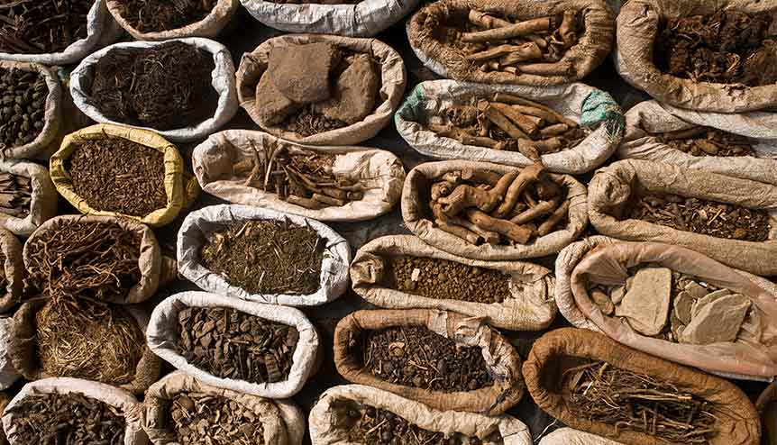A modern market surges for India’s ancient science