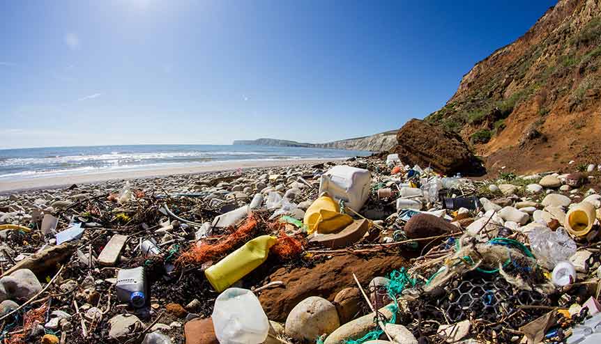 Giving impetus to sustainability as brand’s purpose