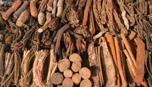 The global emergence of Ayurveda