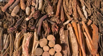 The global emergence of Ayurveda