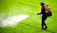 In bumper harvests the govt. must ensure the well-being of the farmer and the consumer