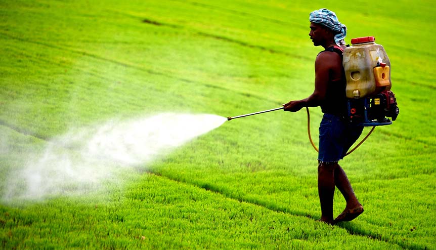 In bumper harvests the govt. must ensure the well-being of the farmer and the consumer