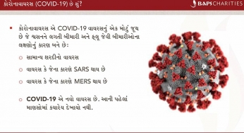 Safety concerns over lack of Covid-19 advice translation in UK