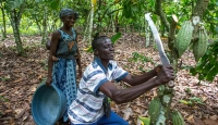 Using sustainability to uplift a community