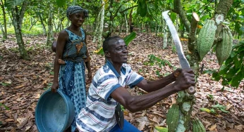 Using sustainability to uplift a community