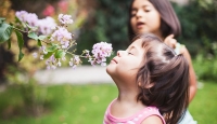 Covid-19 loss of smell very different from common cold, flu