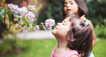 Covid-19 loss of smell very different from common cold, flu