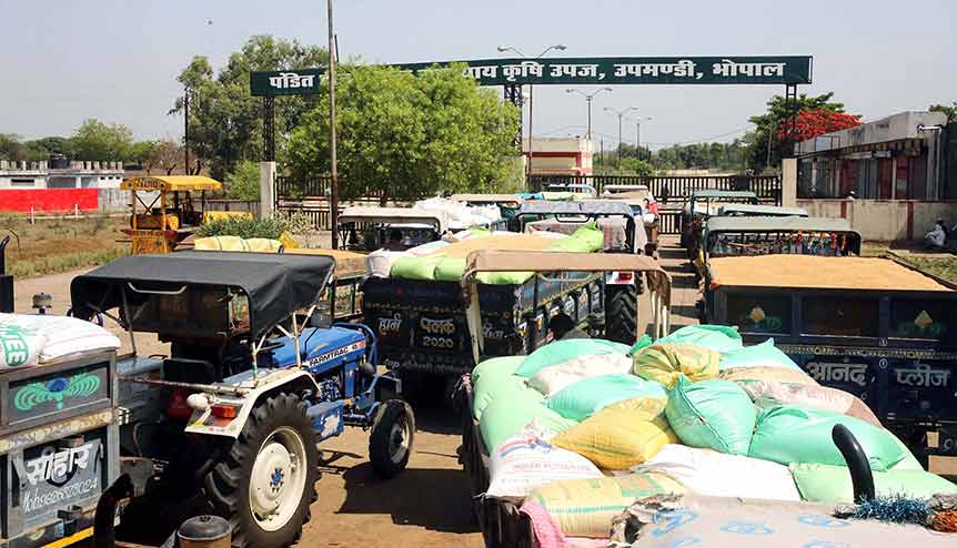 How India’s agri-infra fund creates a bold future for farmers and entrepreneurs