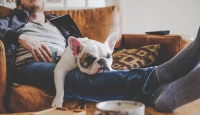 Laziness makes chronic pain management tougher Study