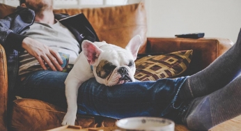 Laziness makes chronic pain management tougher: Study