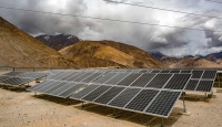 Planting the seeds of green money