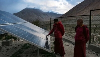 Planting the seeds of green money