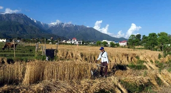 From India’s farms to the UAE’s tables