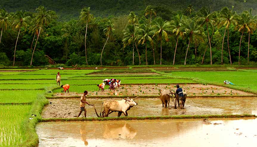 Indian economy doomsday predictions are highly overstated