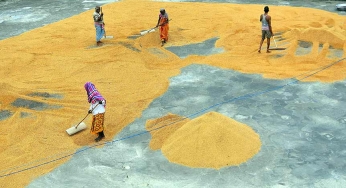 The lights are shining in rural India