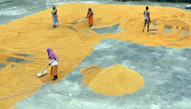 India and UAE build the foundations of food security