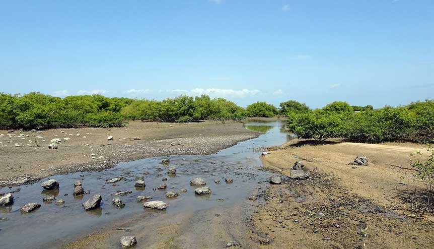Indian and UK scientists team up to clean Indian coasts
