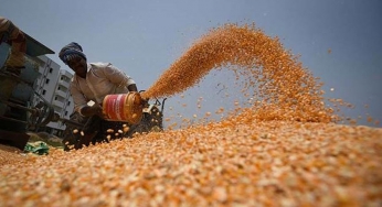 IMF endorses farming reforms by Indian government